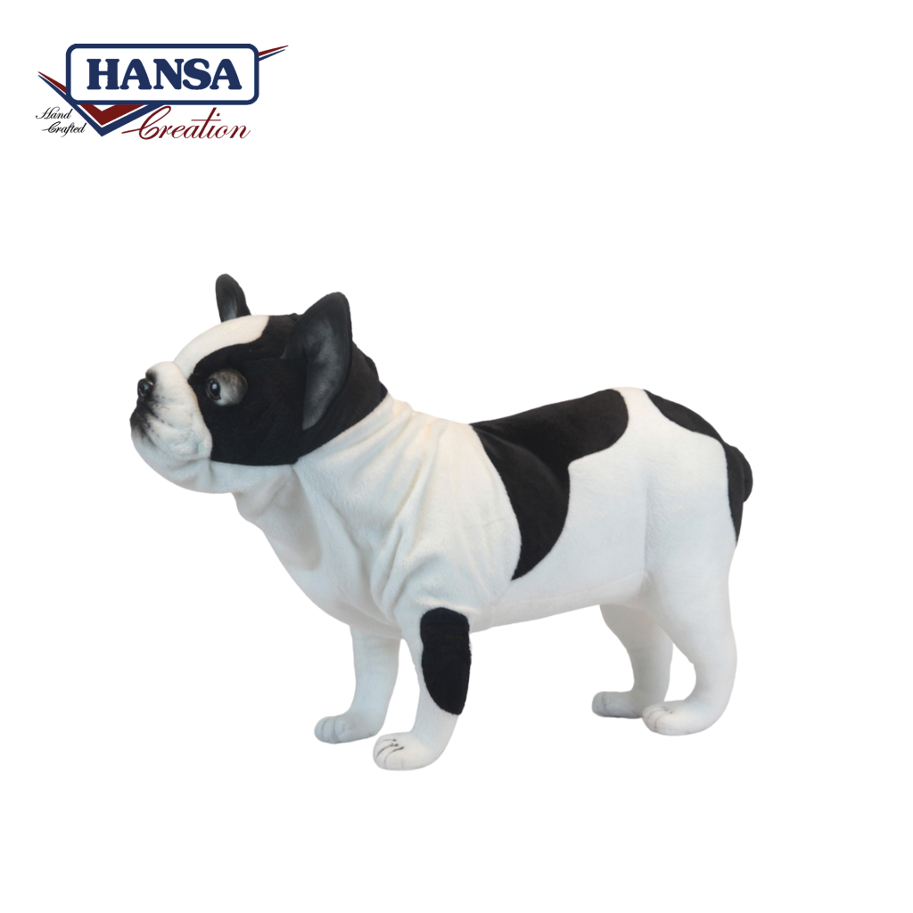 6601 French Bulldog Black & White 50cm.L