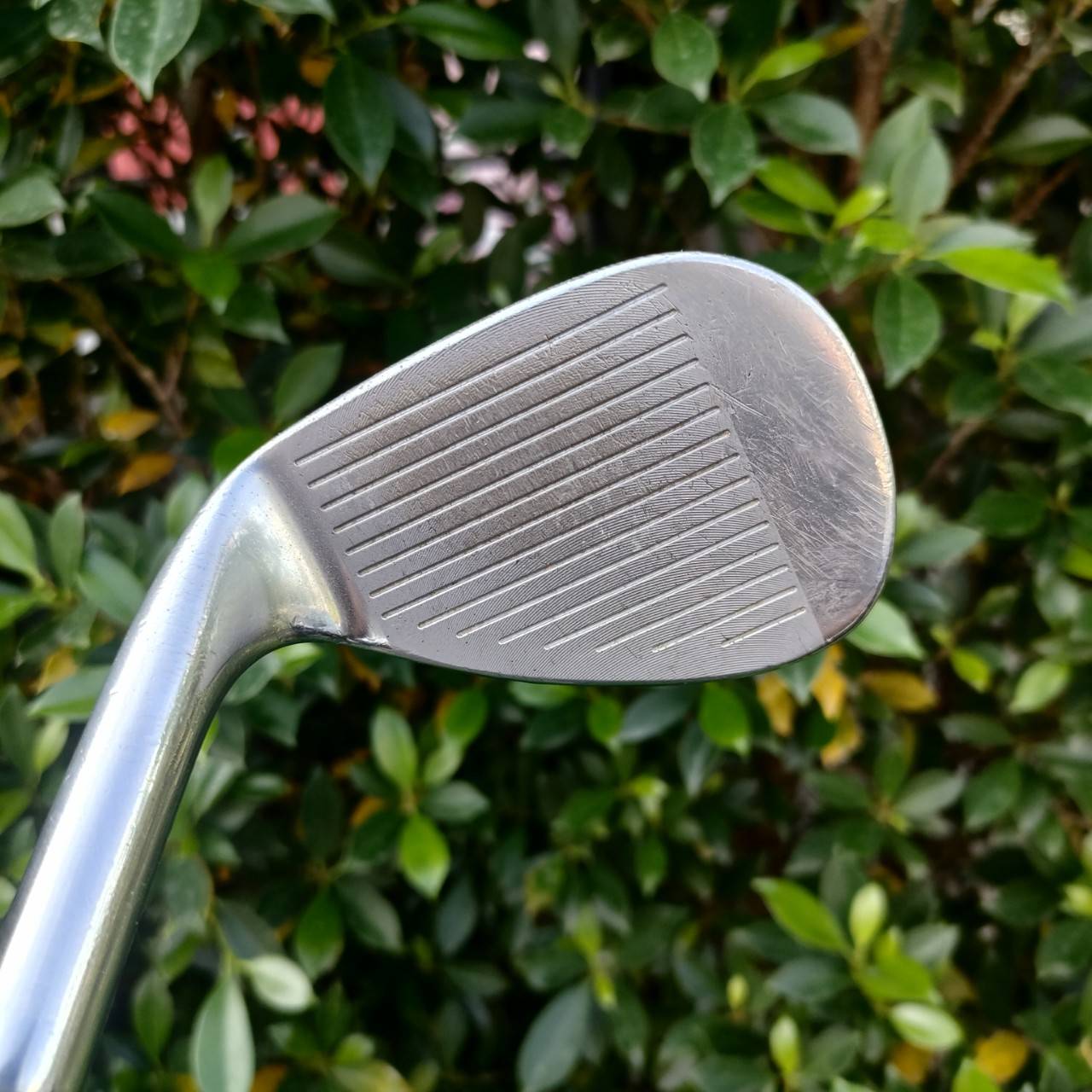 WEDGE TAYLORMADE RAC องศา 56 BOUNCE 12 ก้าน DYNAMIC GOLD S200 รุ่นนี้เนื้อ FORGED ดีสุดๆครับ