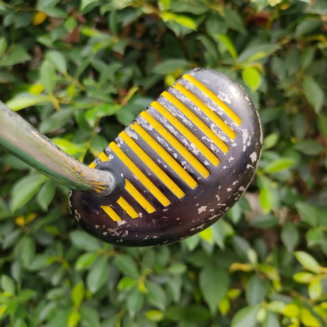 PUTTER PLP2C0 FACE BALANCE CROWNER ความยาว 34 นิ้ว ก้าน CROWNER