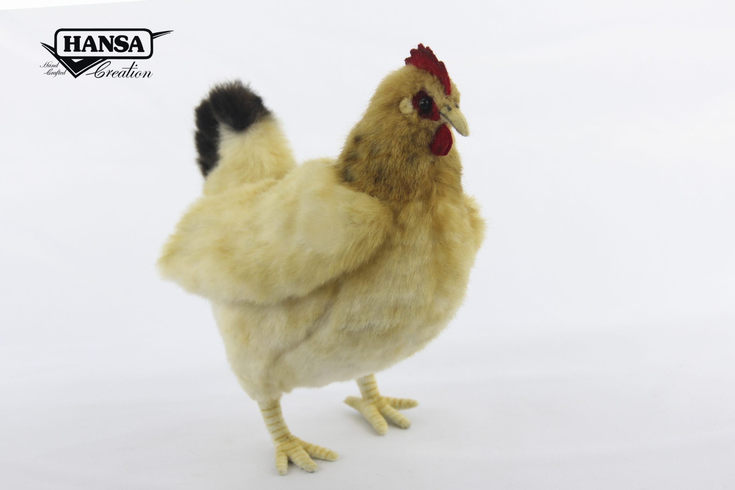 8001 Hen 16cm.L