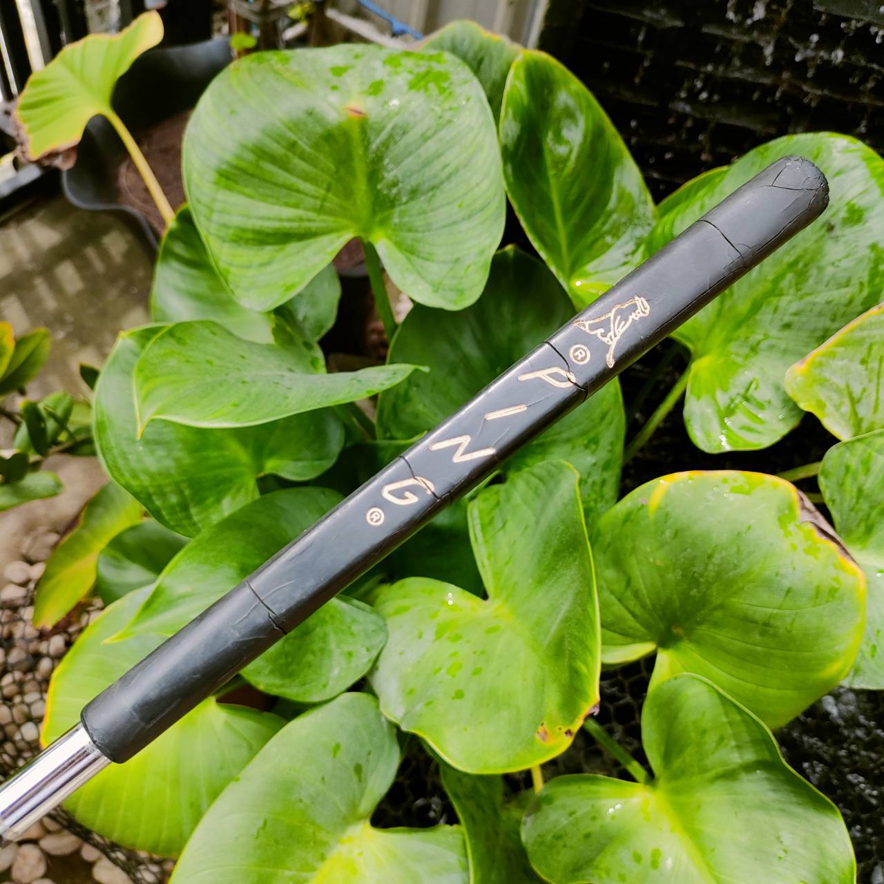 PUTTER PING PAL2 ทองแดงแท้ เป็นตัว BECU BERYLLIUM COPPER ความยาว 34 นิ้ว หายาก วัสดุพรีเมี่ยม ตัวนี้ไม่ใช่ทองเหลือง แต่เป็นทองแดงแท้ ไม้กอล์ฟพรีเมี่ยมมือสอง ของแท้ By NakaraLuxurious