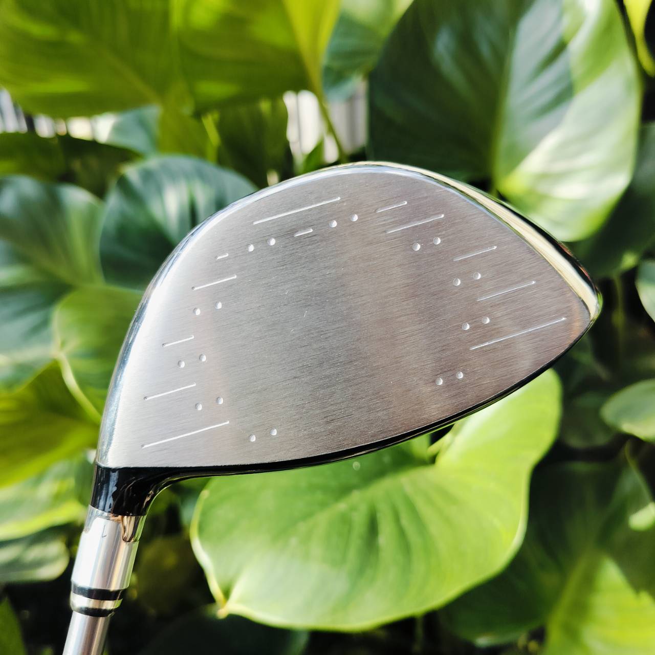 DRIVER KING COBRA L5V องศา 10.5 ก้าน TOUR AD MD-5SR *** แค่ก้านก็เกินคุ้มแล้วค่ะ *** ก้านอย่างเดียวใหม่ๆเป็นหมื่น!!! ไม้กอล์ฟพรีเมี่ยมมือสอง ของแท้ By NakaraLuxurious