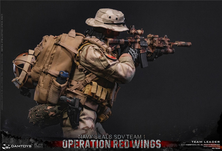 [สั่งจอง] DAMTOYS DAM78069 1/6 Operation Red Wings -NAVY SEALS SDV TEAM 1