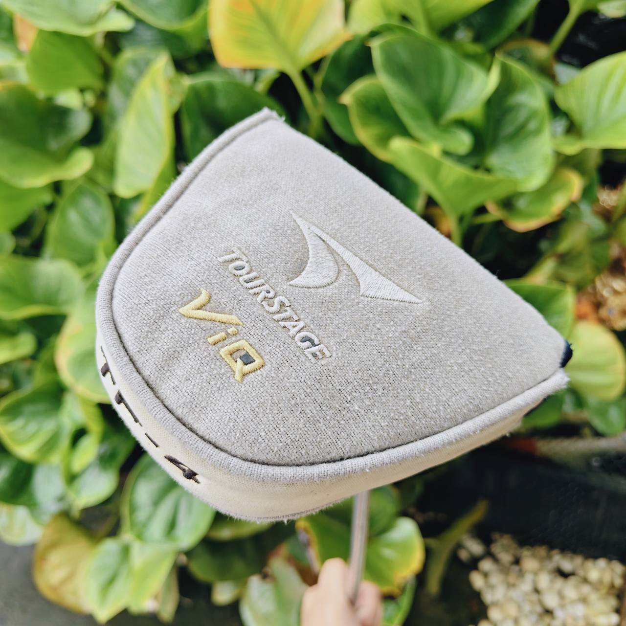 PUTTER Bridgestone TOURSTAGE ViQ TF-4 ให้ ความแม่นยำ ความเสถียร และความรู้สึกที่ยอดเยี่ยม ขณะพัตต์