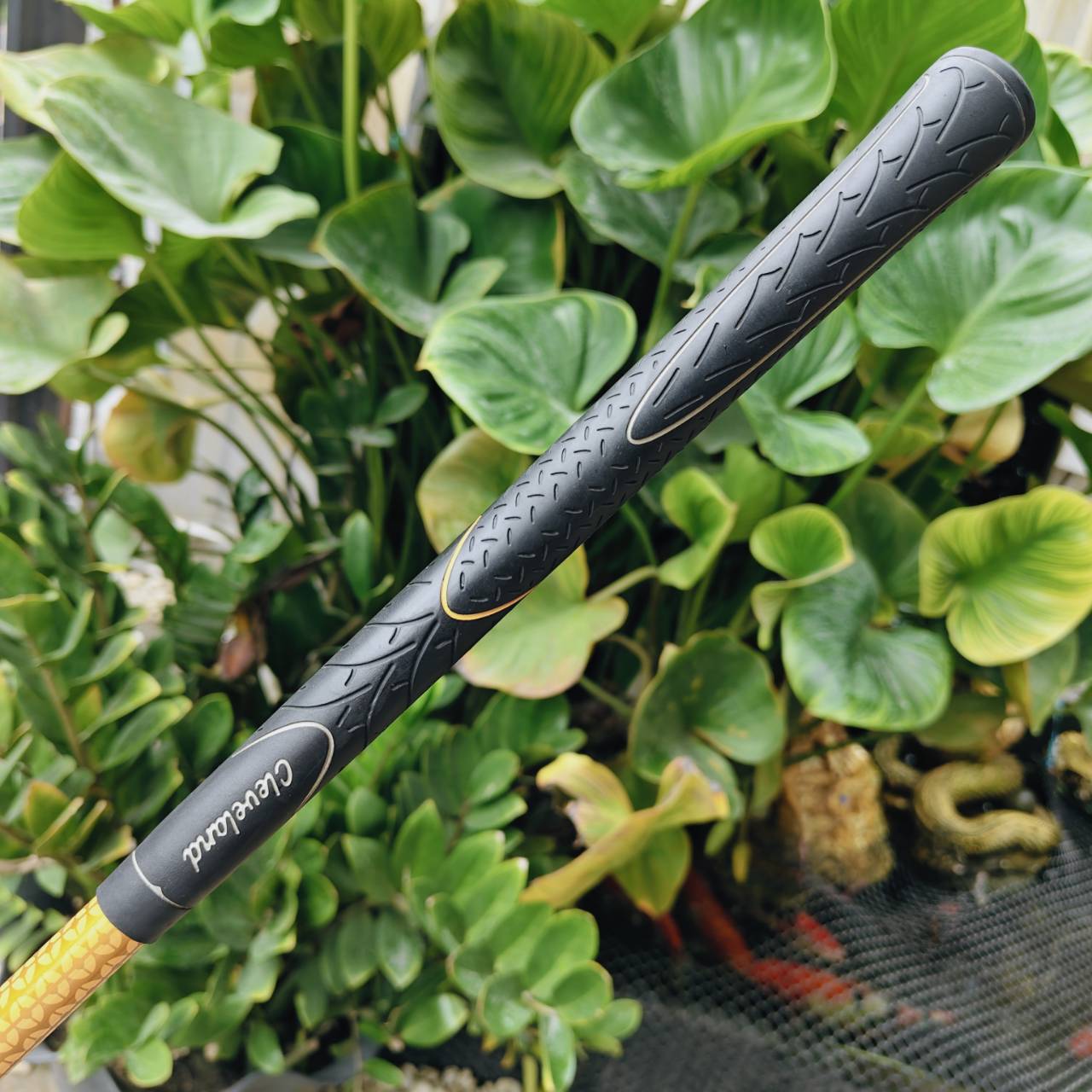 Driver Cleveland HiBore / SUPER LOFT ก้าน FUJIKURA FIT ON M GOLD (FLEX R)