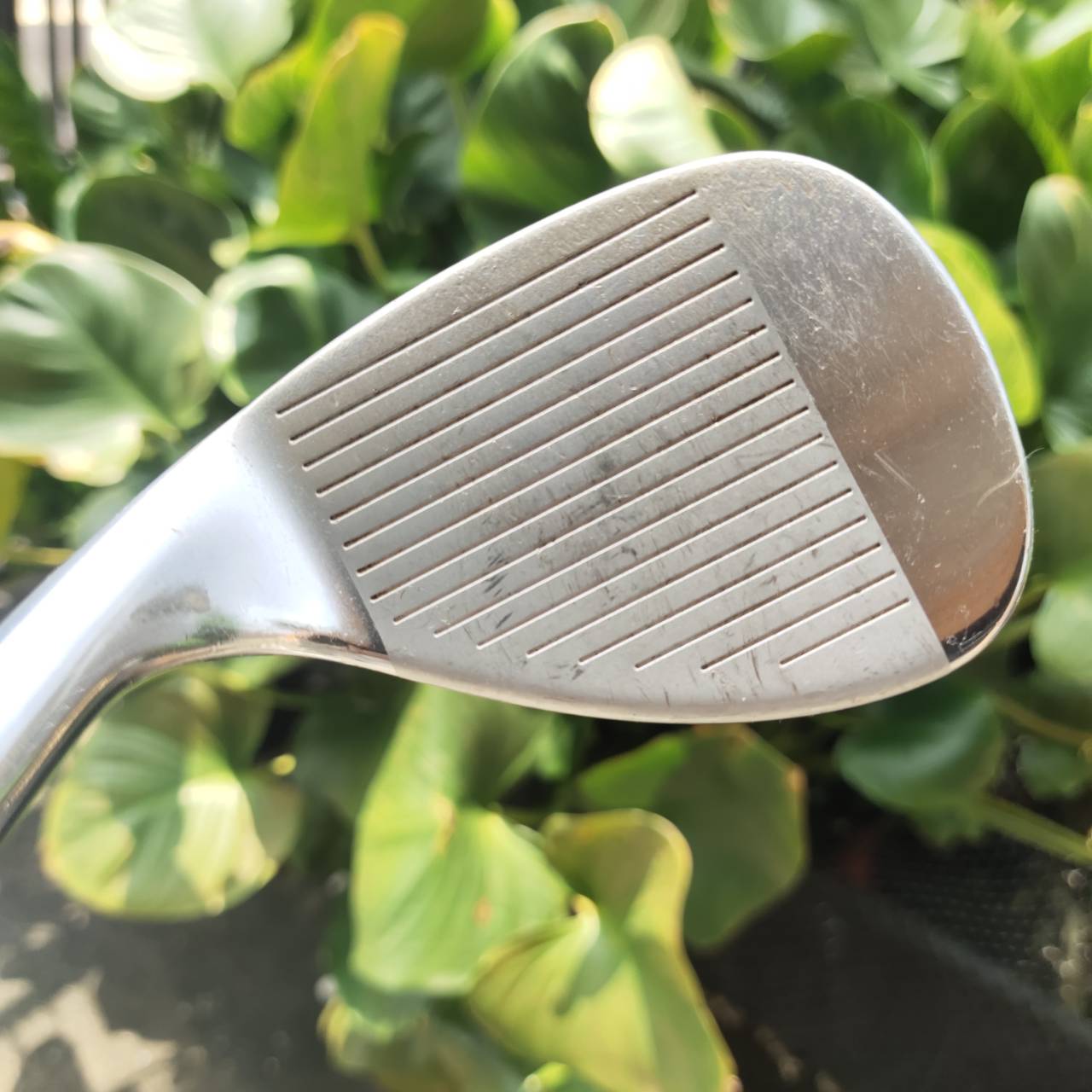 WEDGE CLEVELAND REG 588 องศา 60 FLEX WEDGE รุ่น 588 เป็นรุ่นที่ดังมากที่สุด มาสเตอร์พีช