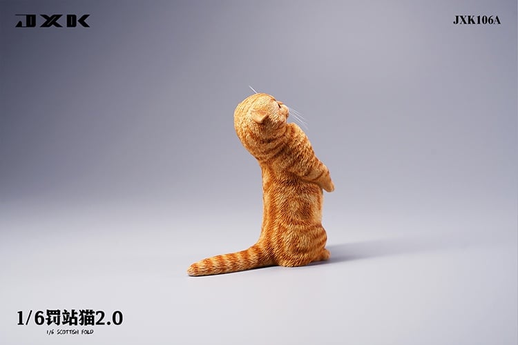 [สั่งจอง]JXK : Scottish Fold/Chckling/Duckling