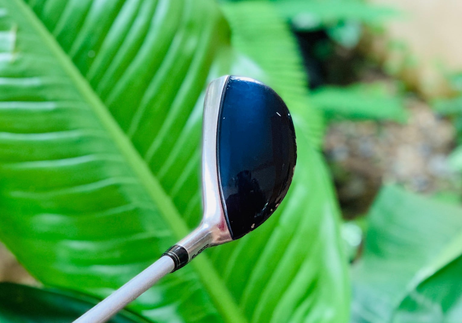 FAIRWAY 6 COBRA S3MAX