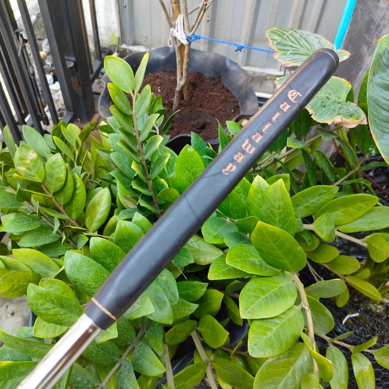 PUTTER CALLAWAY GOLF ความยาว 35 นิ้ว S2H2 สวยคลาสสิค พัตเตอร์รุ่นนี้วางน้ำหนักได้ดี และวัสดุดีมาก ไม้กอล์ฟพรีเมี่ยมมือสอง By NakaraLuxurious