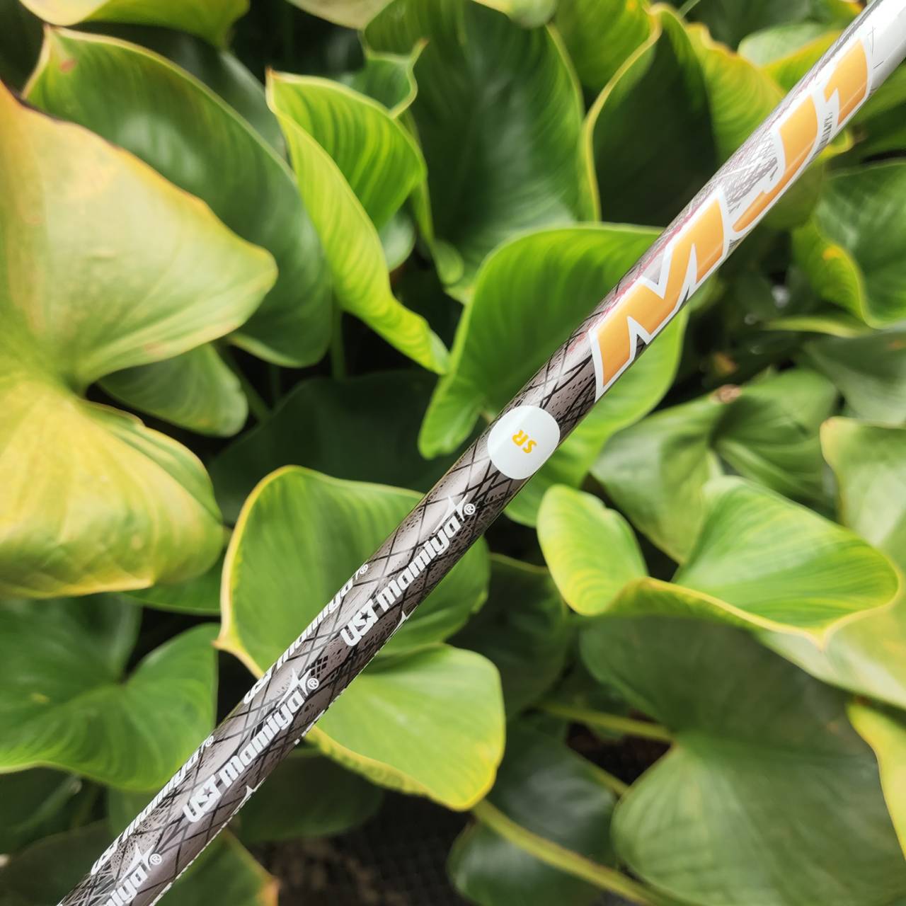 3W MIZUNO RV-03 ก้าน UST MAMIYA หน้าไม้บาง Ball Speed ดี ลูกพุ่ง สปินต่ำ