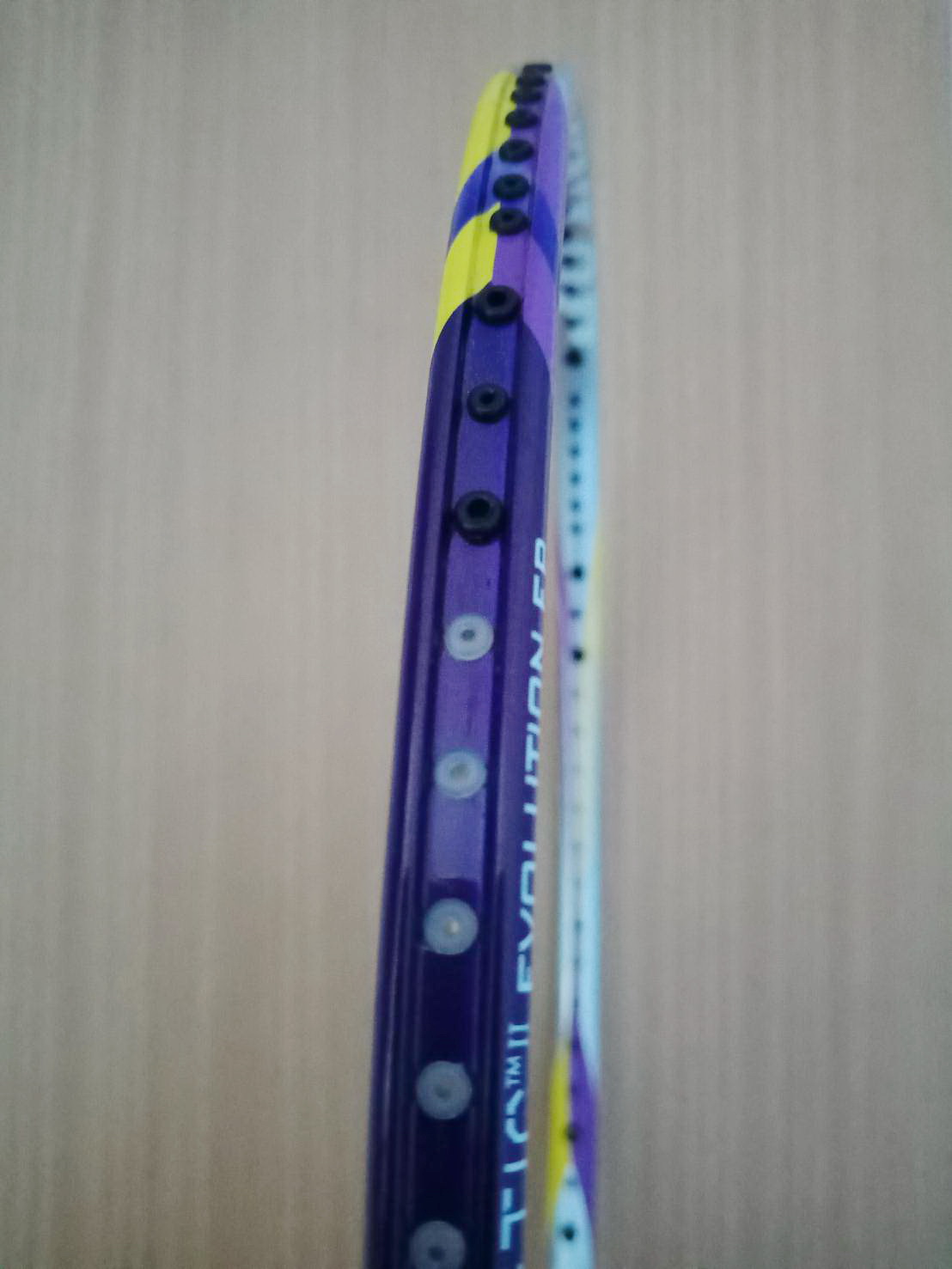 Dunlop Biomimetic II Evolution EP