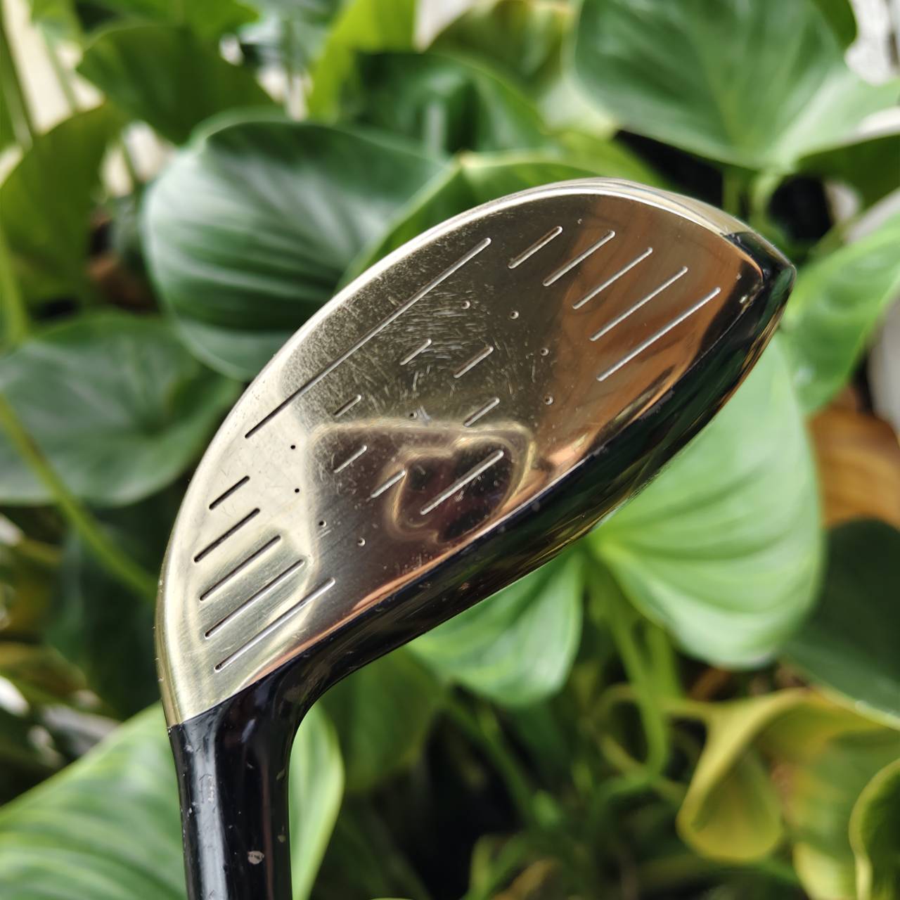 3W Maruman MAJESTY ระดับ "Hi-End" หรือ "Super Premium" ของวงการกอล์ฟญี่ปุ่น