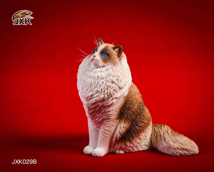 [สั่งจอง] JxK.Studio 1/6 Jxk029/ Jxk030 A/B/C/D -Ragdoll / British Shorthair Cat