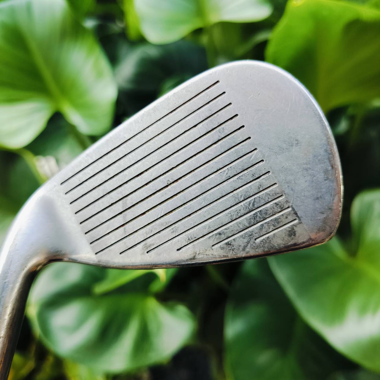 ชุดเหล็ก WILSON HT 2000 PERIMETER BALANCE มีเหล็ก 4 5 6 7 8 9 P S เหล็กสภาพสวยทุกเหล็ก เดิมๆ ก้านเดิมทุกเหล็ก เลยค่ะ ไม้กอล์ฟพรีเมี่ยมมือสอง ของแท้ By NakaraLuxurious
