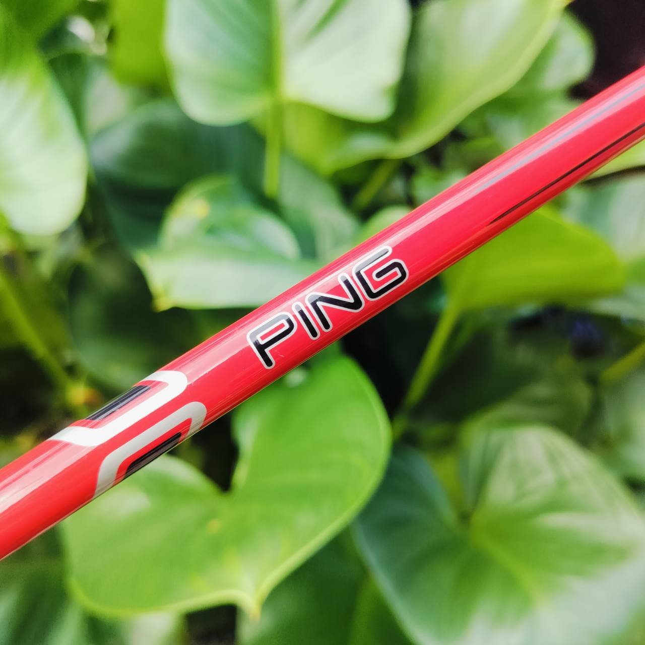 ***ไม้กอล์ฟเด็ก*** WEDGE PING MOXIE องศา 56 ก้าน PING ความยาว 28 นิ้ว ตีดีมาก วัสดุ และเทคโนโลยีเดียวกันกับ ไม้กอล์ฟ PING ของผู้ใหญ่เลยค่ะ