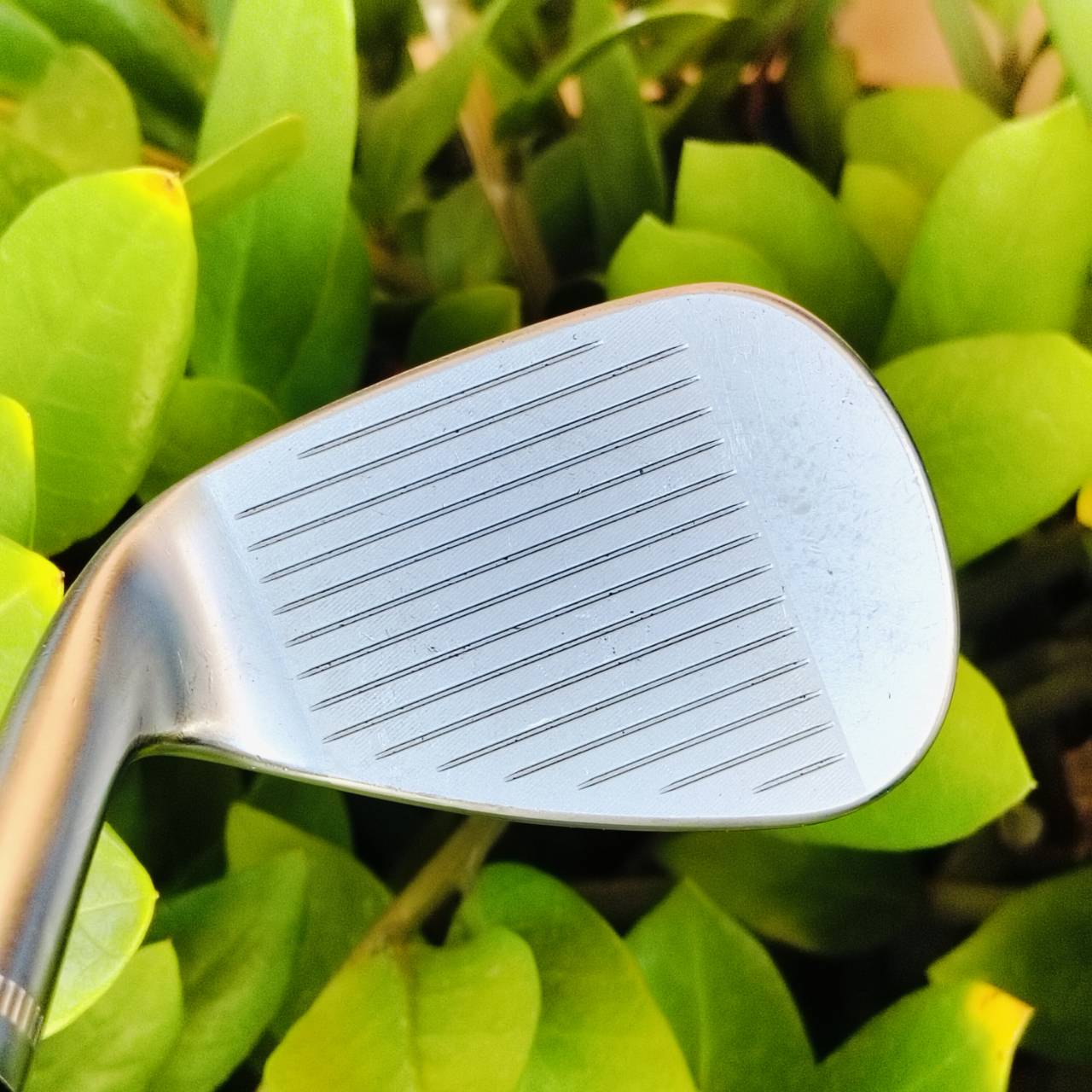 WEDGE CALLAWAY JAWS MD5 องศา 50 BOUNCE 10S ก้าน DYNAMICGOLD S200 WEDGE สุดโหด ยอดนิยมสูงสุด ร่องสวยดุดันที่สุด ให้สปินเกินคาด ไม้กอล์ฟพรีเมี่ยมมือสอง ของแท้ By NakaraLuxurious