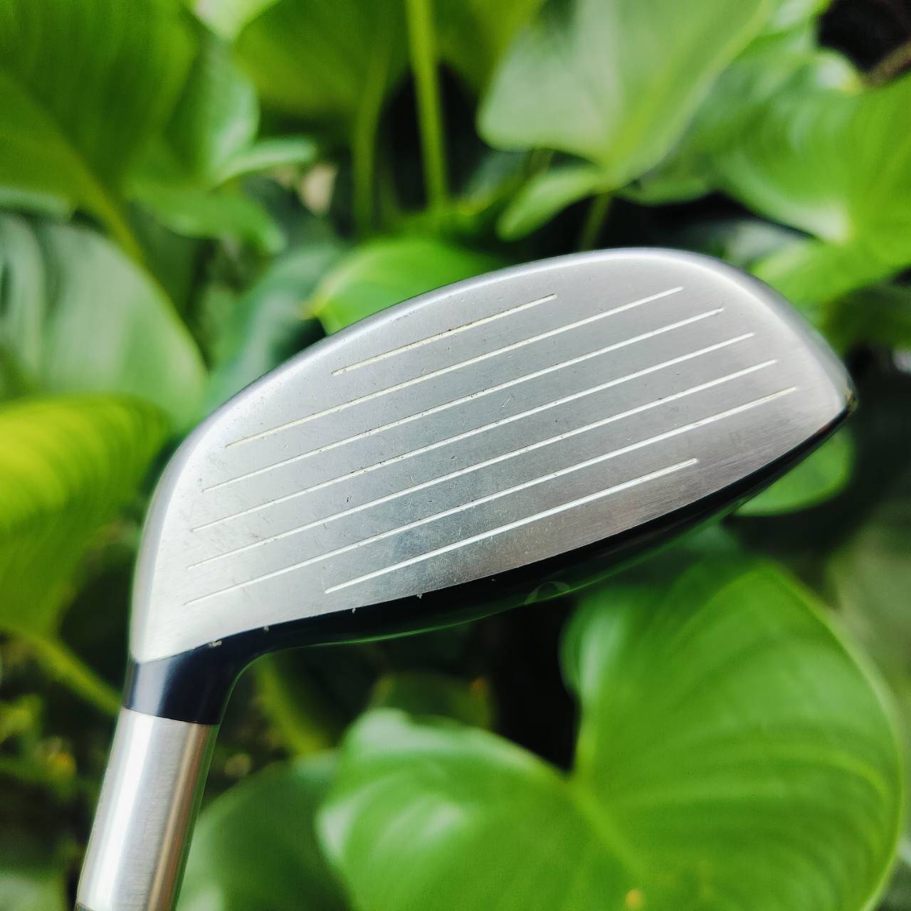 FW3 CLEVELAND LAUNCHER ก้าน TOUR AD YSQ FLEX R ออกแบบรูปทรงพิเศษ HIGH M.O.I. ชดเชยความผิดพลาดสูงมาก ไม้กอล์ฟพรีเมี่ยมมือสอง ของแท้ By NakaraLuxurious