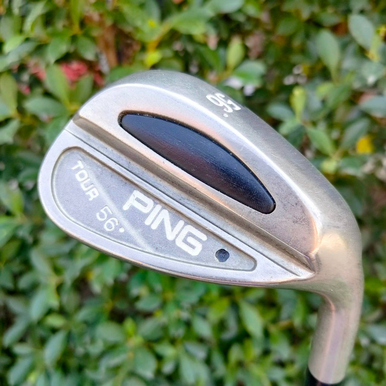 WEDGE PING TOUR จุดดำ องศา 56 FLEX WEDGE วัสดุพรีเมี่ยม ให้ปินที่สูง