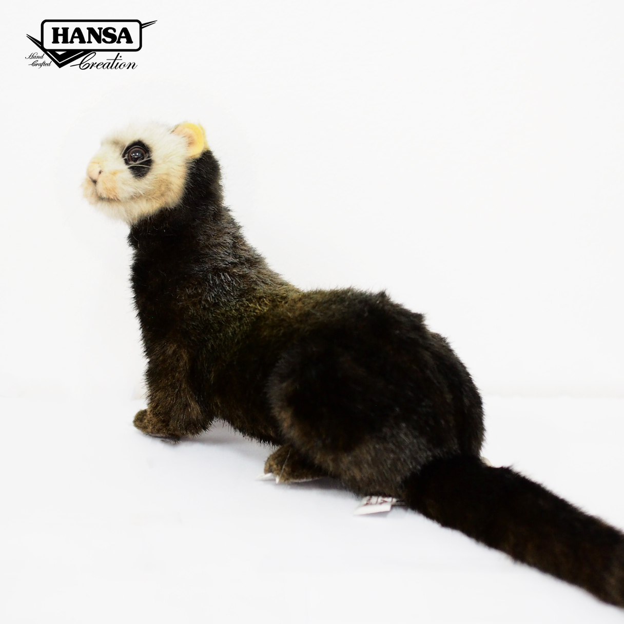 7827 European Polecat 41 cm. L