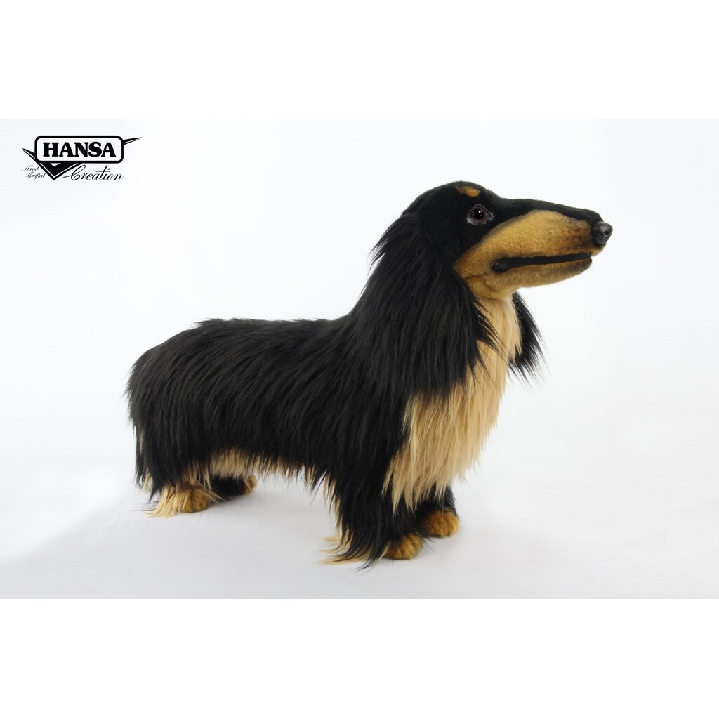 8199 Dachshund Long Haired 38cm.L