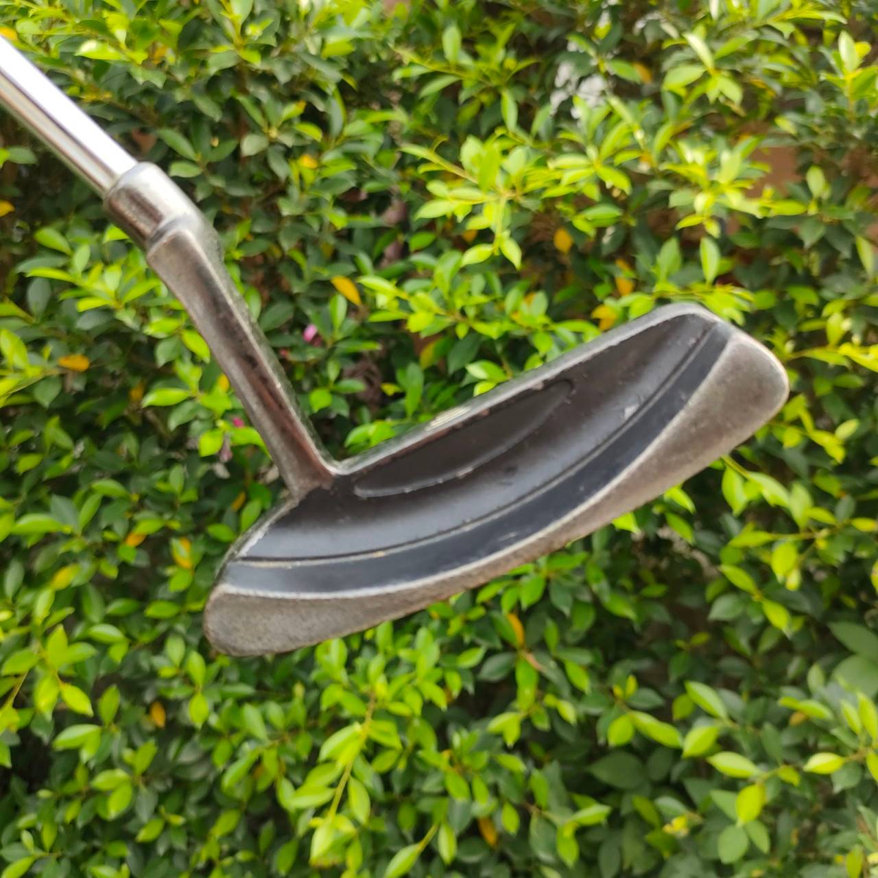 PUTTER FOCUS 542 ความยาว 35 นิ้ว ทรง STUDIO