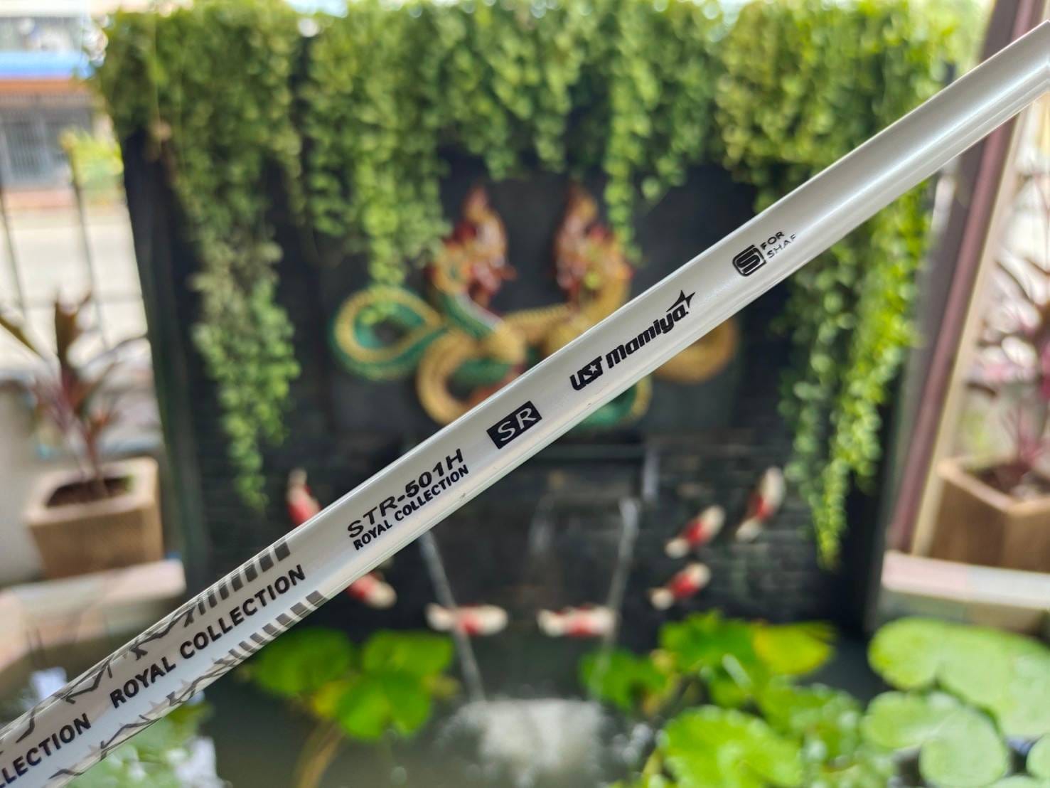 UT 3 Royal Collection RC Star องศา 19