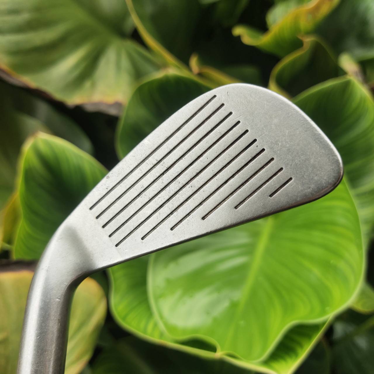 เหล็ก 1! WILSON GEAR EFFECT 1200 GC สำหรับนักกอล์ฟสายแม่นลูก หรือสะสมของหายาก!