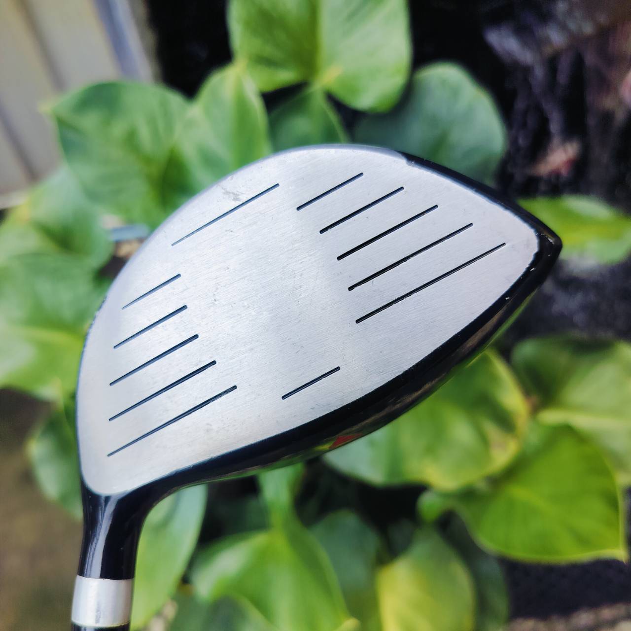 Driver PGM VICTOR องศา 10.5 ก้าน VICTOR FLEX MID FIRM หรือ SR หัวใหญ่ 460 CC วัสดุไทเทเนี่ยม ตีง่ายๆค่ะ ไม้กอล์ฟพรีเมี่ยมญี่ปุ่นมือสอง ของแท้ By NakaraLuxurious