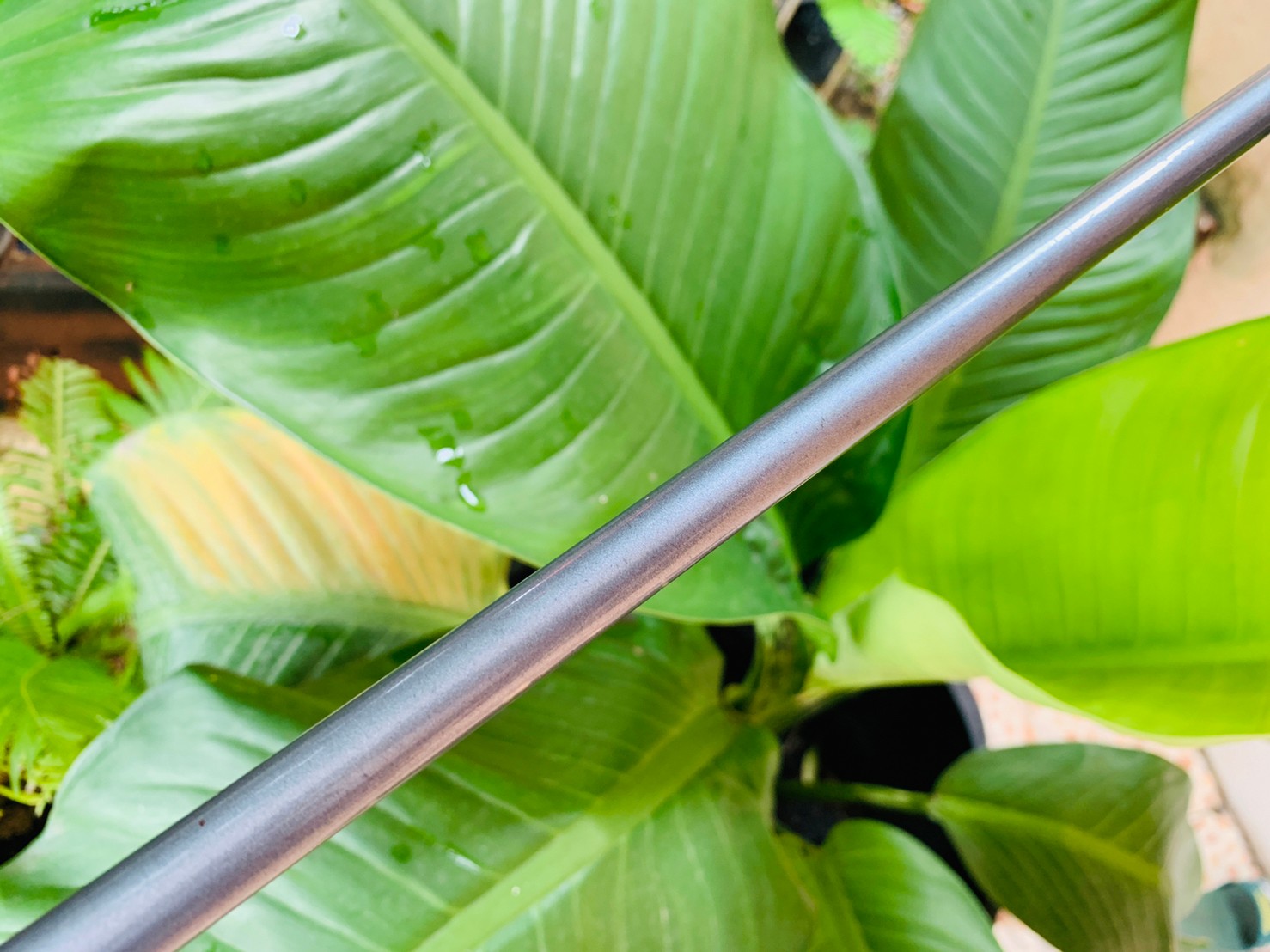 FAIRWAY 7 CALLAWAY HEAVEN WOOD