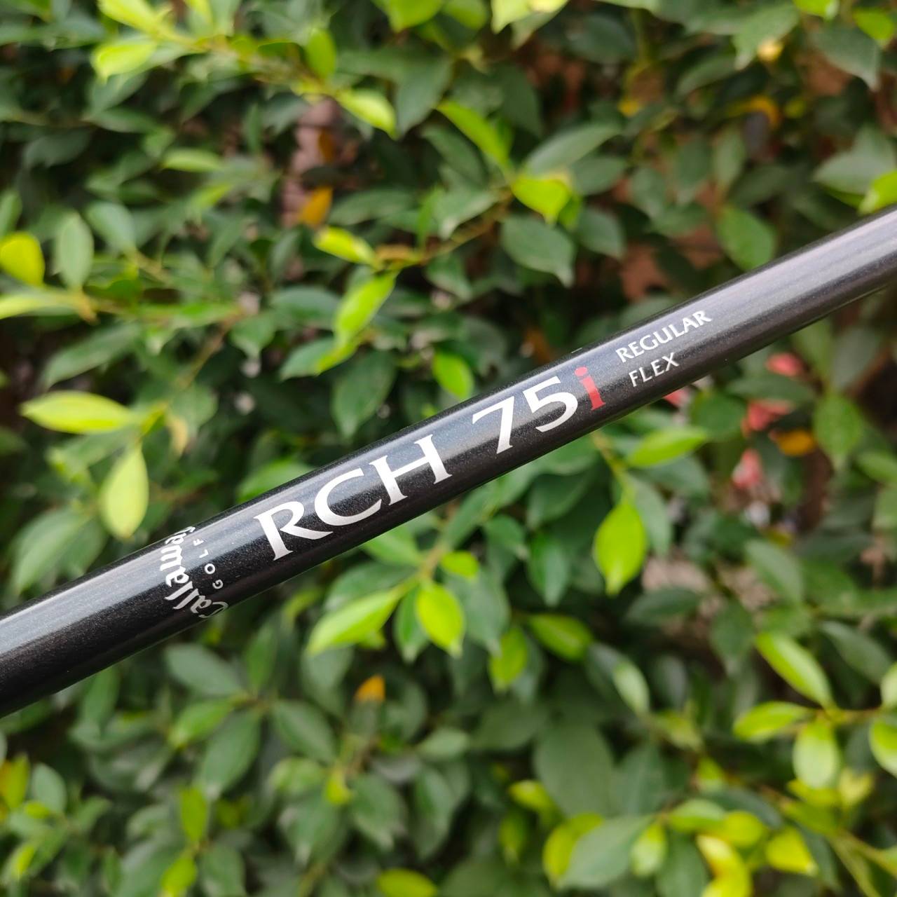 ชุดเหล็ก CALLAWAY BIG BERTHA มีเหล็ก 4-10 เเละ SW W ก้าน RCH 75 i FLEX R ตีง่ายมากๆเพราะใบใหญ่ Cavity ลึกมากๆ ก้านเจาะทะลุ ทุกชิ้น ได้ความรู้สึกดีมาก ท่านที่หาเหล็กตีง่ายๆ คุณภาพ ระดับมาตรฐาน ไม่อยากใช้เหล็กจีน ต้องชุดนี้เลยครับ พลาดไม่ได้ ตีดีมากๆครับ