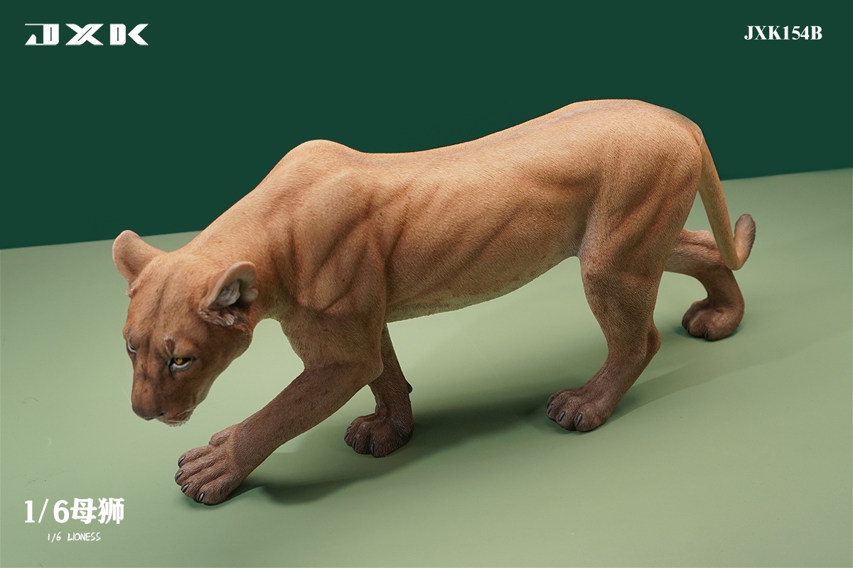[สั่งจอง] JXK JXK154 1/6 : Lioness