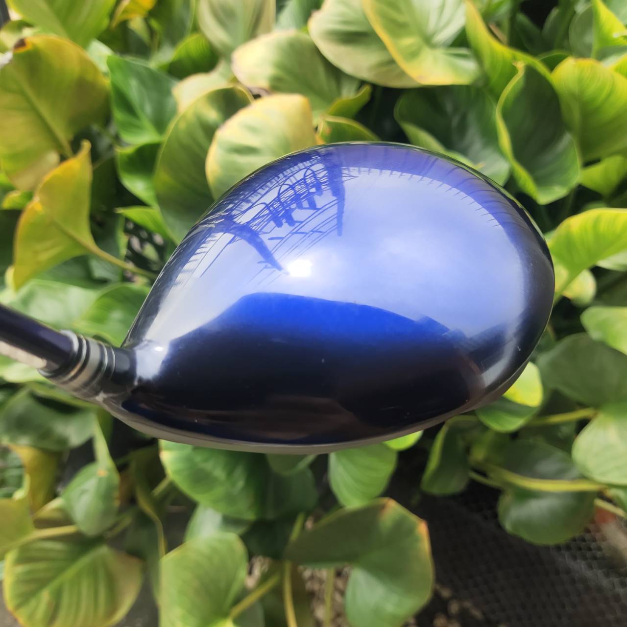 Driver XXIO10 องศา 10.5 ก้าน MP1000 FLEX R รางวัลอันดับ 1 ของประเทศญี่ปุ่นมาทุกสถาบัน!!!