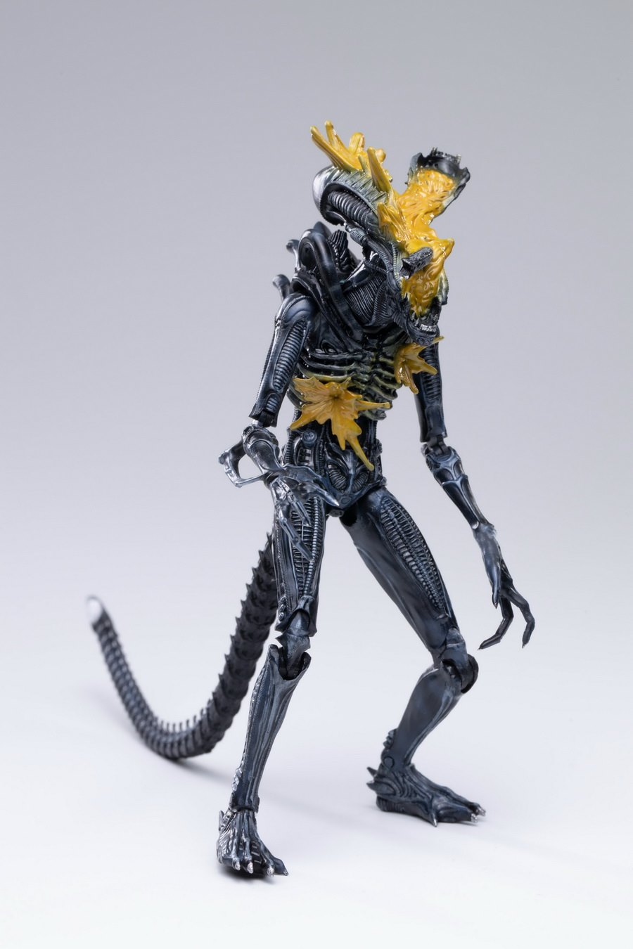 [สั่งจอง]Hiya toys : 1/18 Scale : Alien /Predator