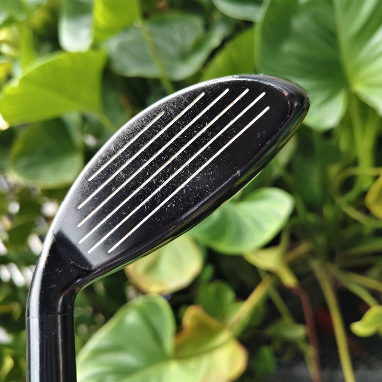 U4 Callaway X-HOT – ตัวแรง ตีง่าย พุ่งไกลแบบไม่ง้อเหล็กยาว!