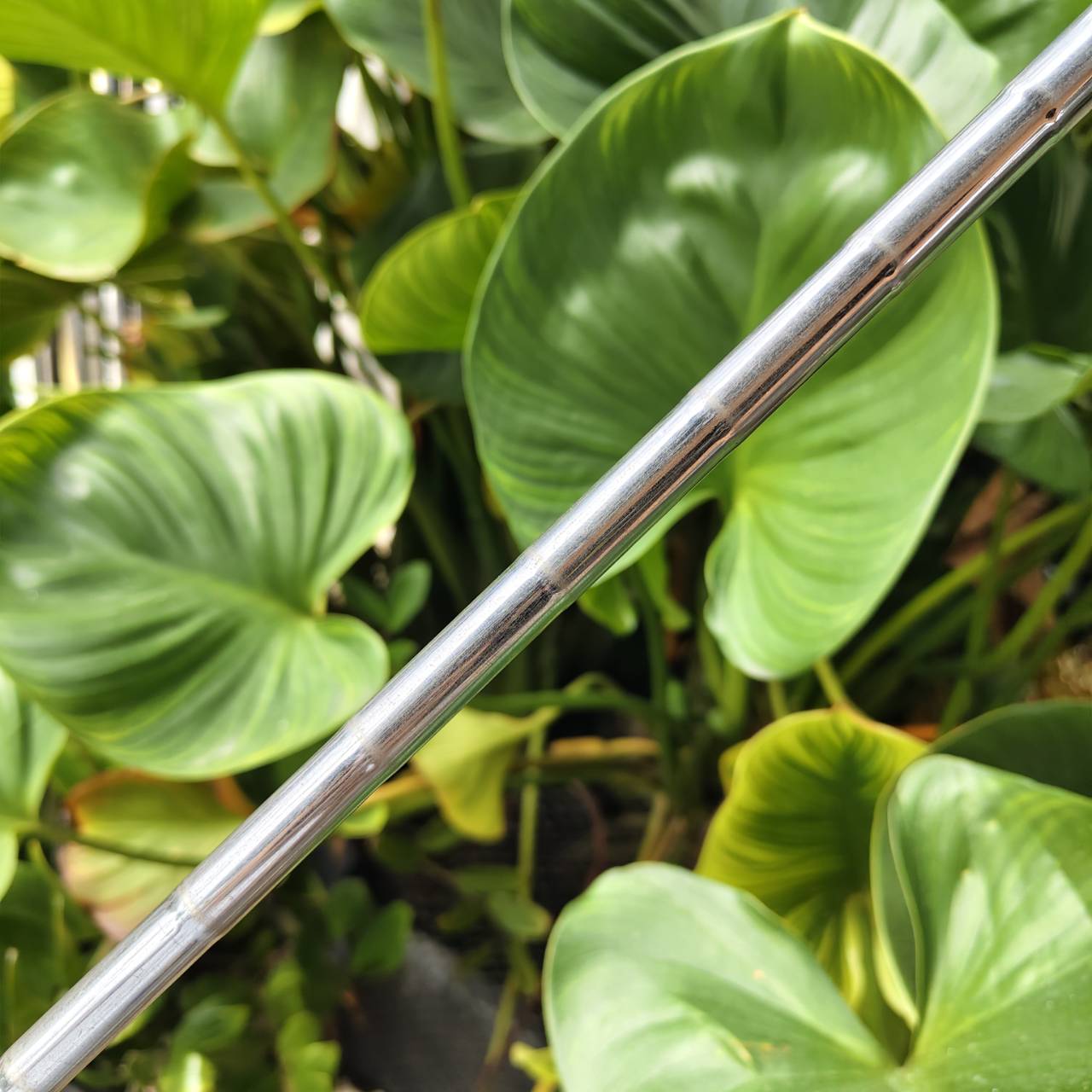 WEDGE CLEVELAND CG14 ลายพราง! – ZIP GROOVES ร่องเป็นสี่เหลี่ยมเหมือนซิปเลย สปินดุ คุมสั้นแม่นสุดๆ