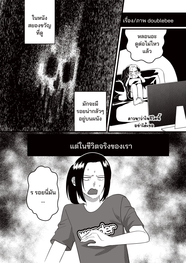 นักวาดการ์ตูนของแมว 2024