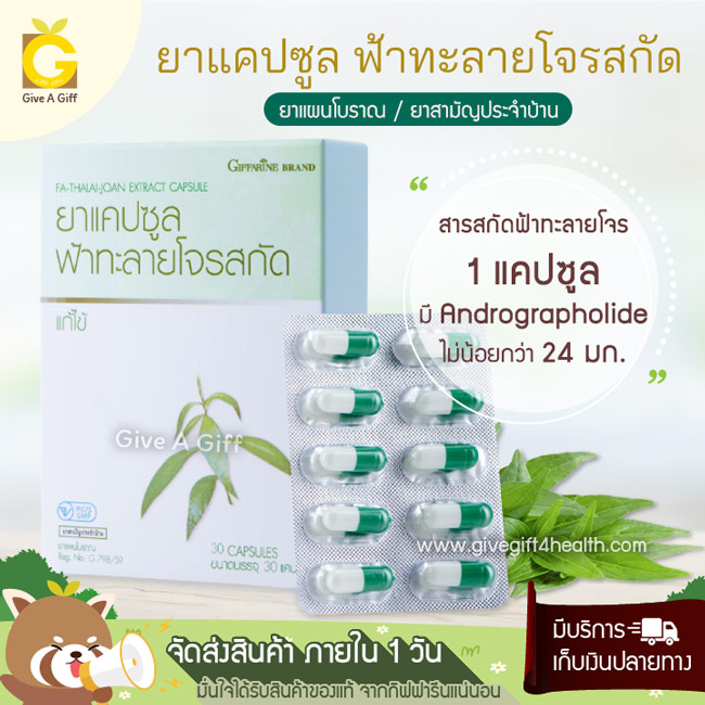 ยาแคปซูล ฟ้าทะลายโจรสกัด ให้แอนโดรกราโฟไลด์ไม่ต่ำกว่า 24 มก./แคปซูล บรรเทาอาการหวัด ไข้ ไอ เจ็บคอ