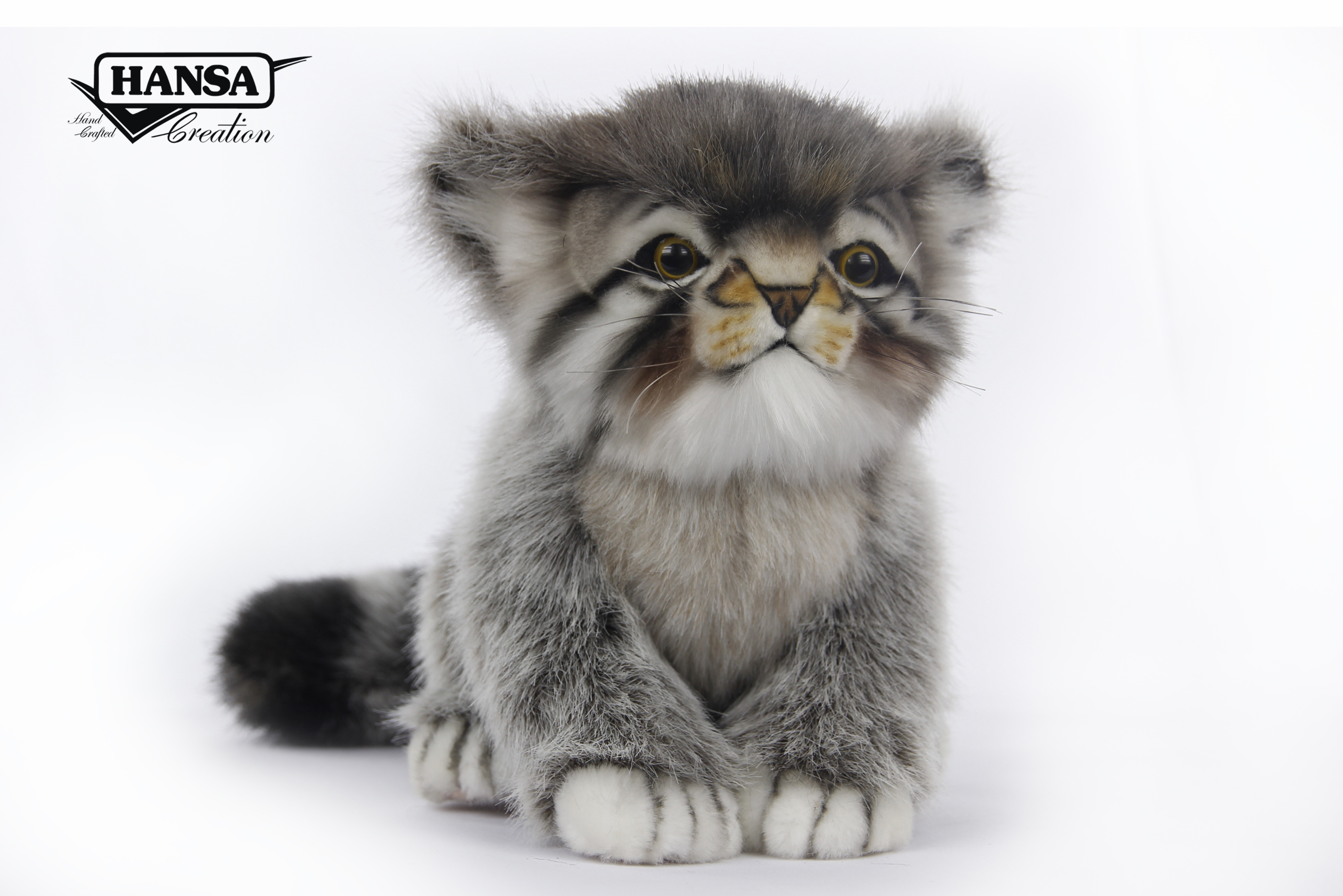 7299 Pallas Kitten 31 cm.L