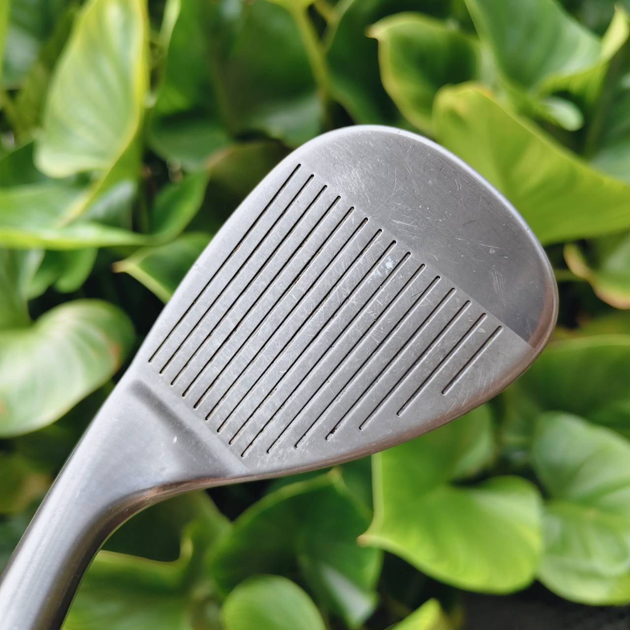 WEDGE CLEVELAND CG14 – Loft 56° / Bounce 14° Zip Grooves™ Technology ร่องสี่เหลี่ยมเหมือซิป สปินจัด!