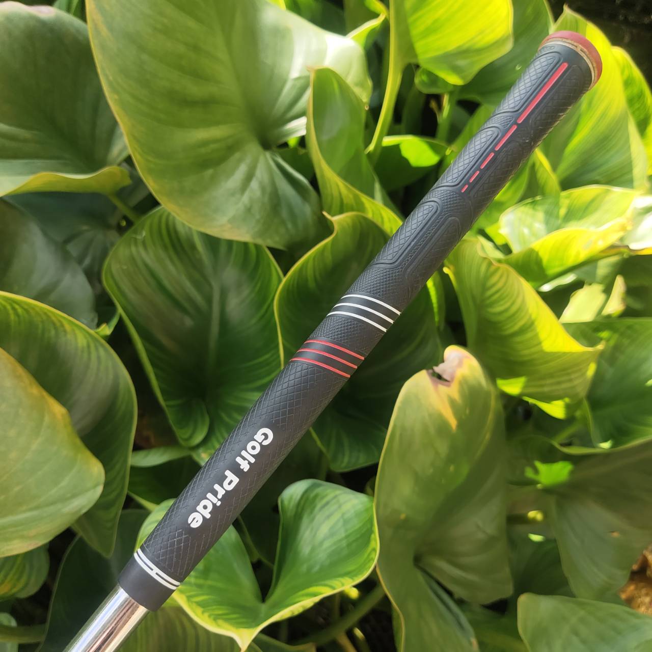 Wedge Rare Item – Cleveland Millennium Year 2000 (60°) ของสะสม + ใช้งานได้จริง!