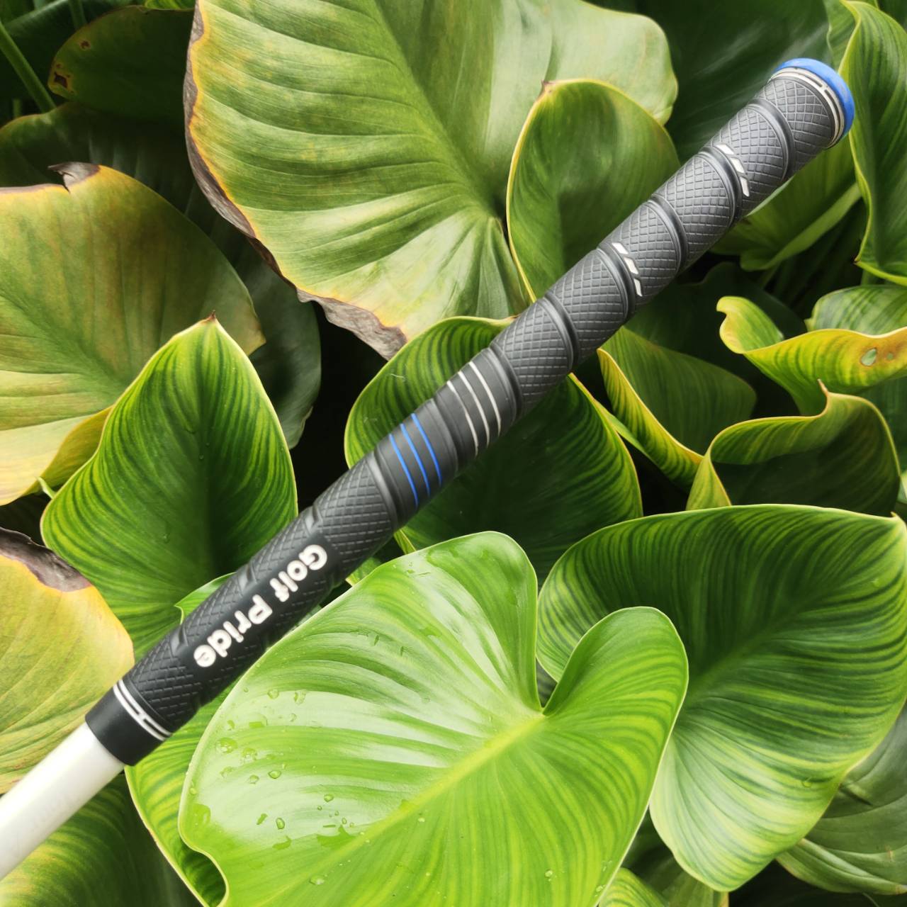 Driver PRGR GN 502 TOUR ให้ฟีลลิ่งแน่น หน้าตอบสนองไว ระยะไกลแบบมีคลาส!