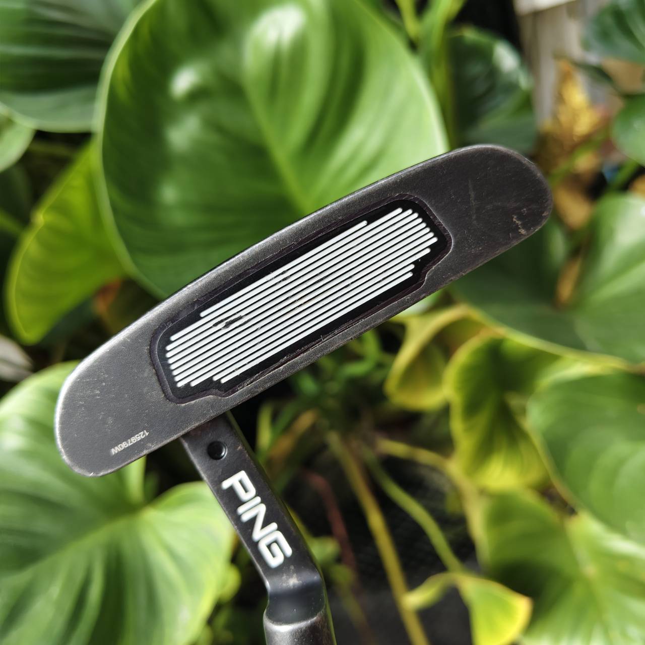 PUTTER PING SCOTTSDALE TR เทคโนโลยี True Roll (TR) Face เกาะไลน์ขั้นสุด!