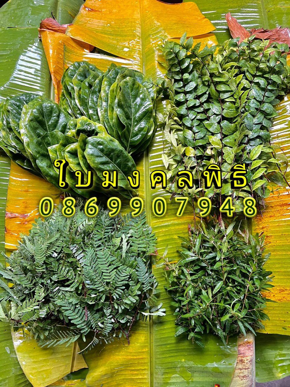 ใบไม้มงคล (พิธี)