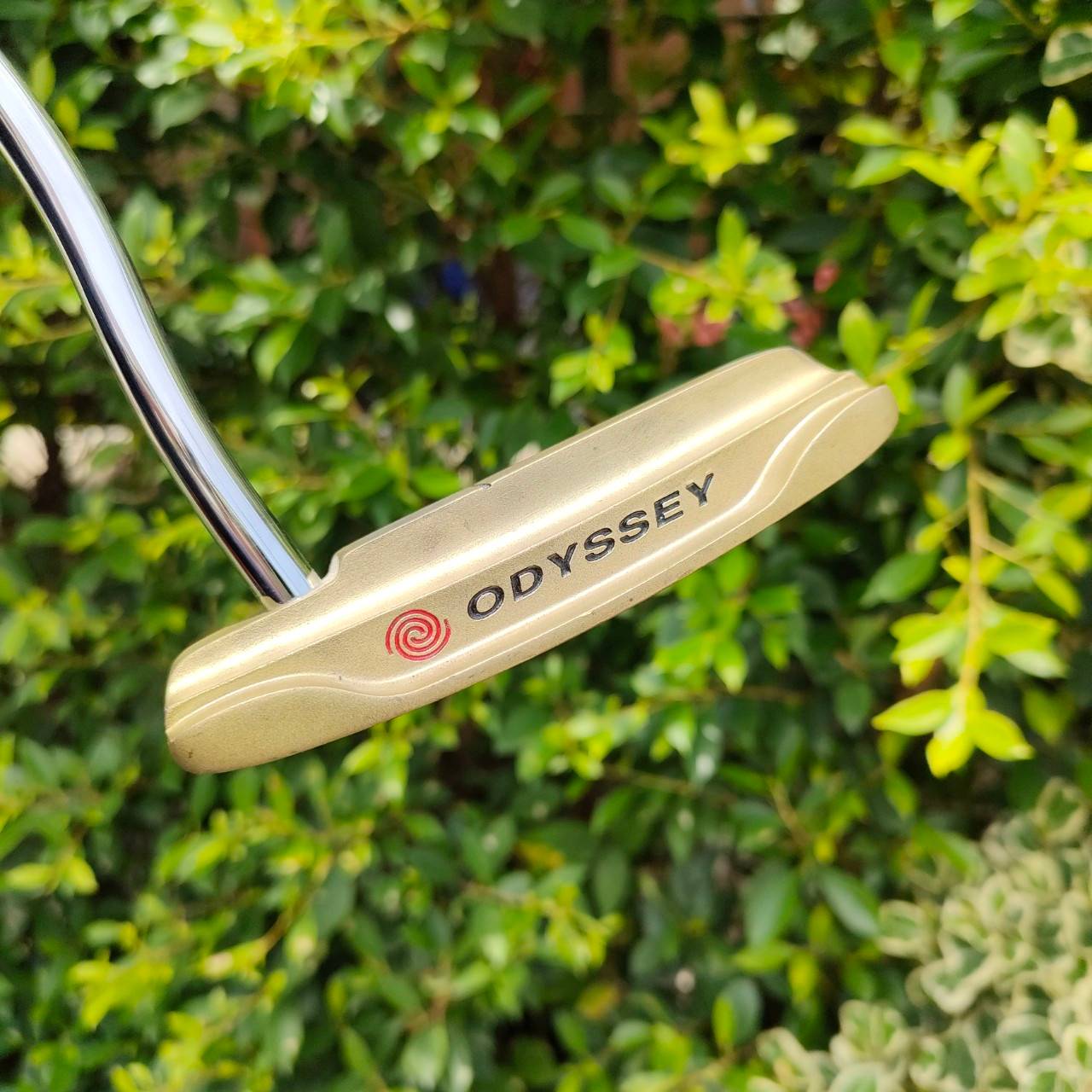 PUTTER ODYSSEY DUAL FORCE 662 ความยาว 34 นิ้ว รุ่นหัวทองหน้าดำ สามารถส่งไปขัดให้เงาวับได้เลยครับ รุ่นนี้ราคาพุ่ง คนตามหามากๆครับ เพราะวัสดุดีเลิศ หน้าดำก็สุดยอดมากๆ เพราะทั้งนุ่มแน่นได้ฟีล และหน้าตะไบ ทำให้กัดลูกให้หมุนเร็ว ลูกเกาะไลน์มากๆ