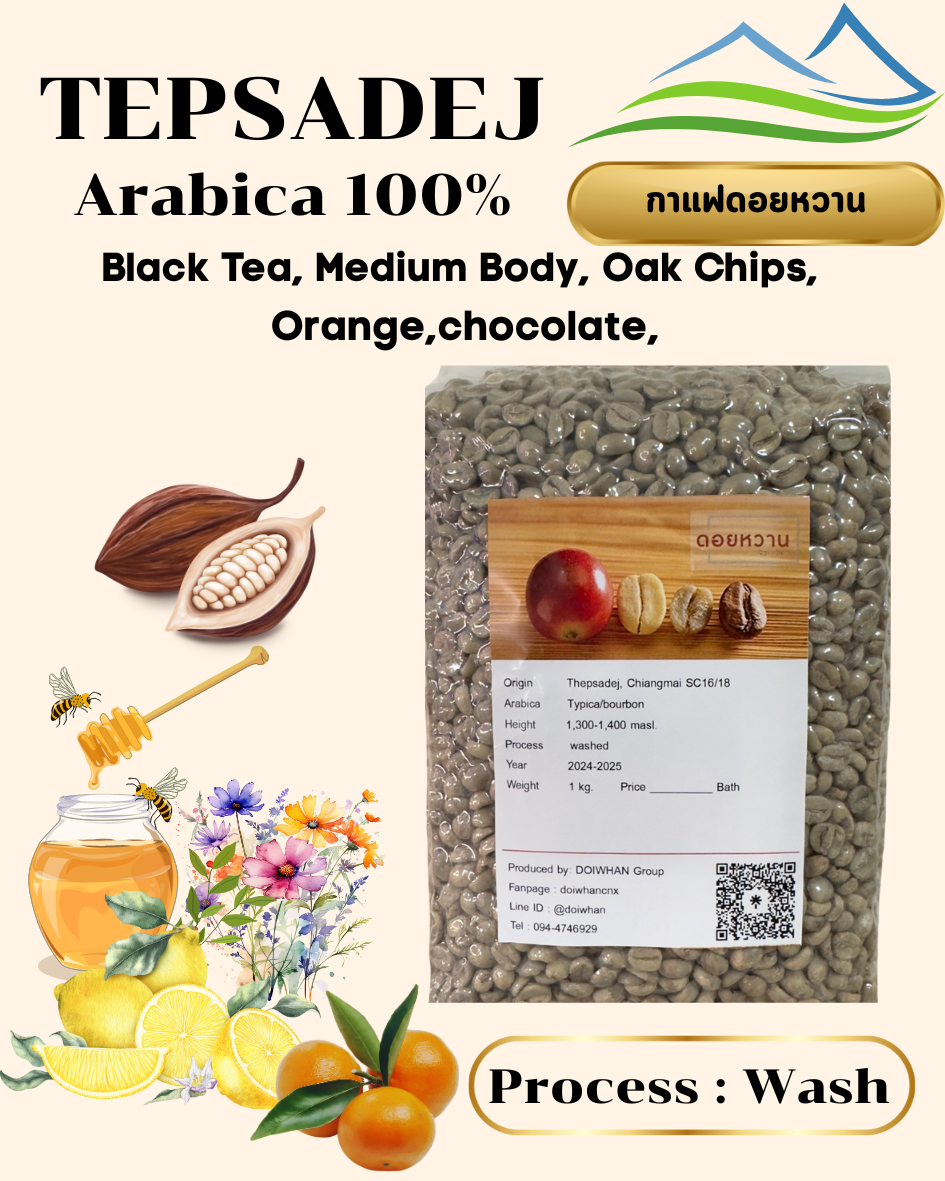 เมล็ดสารกาแฟอาราบิก้า SC16/18 เทพเสด็จ จ.เชียงใหม่