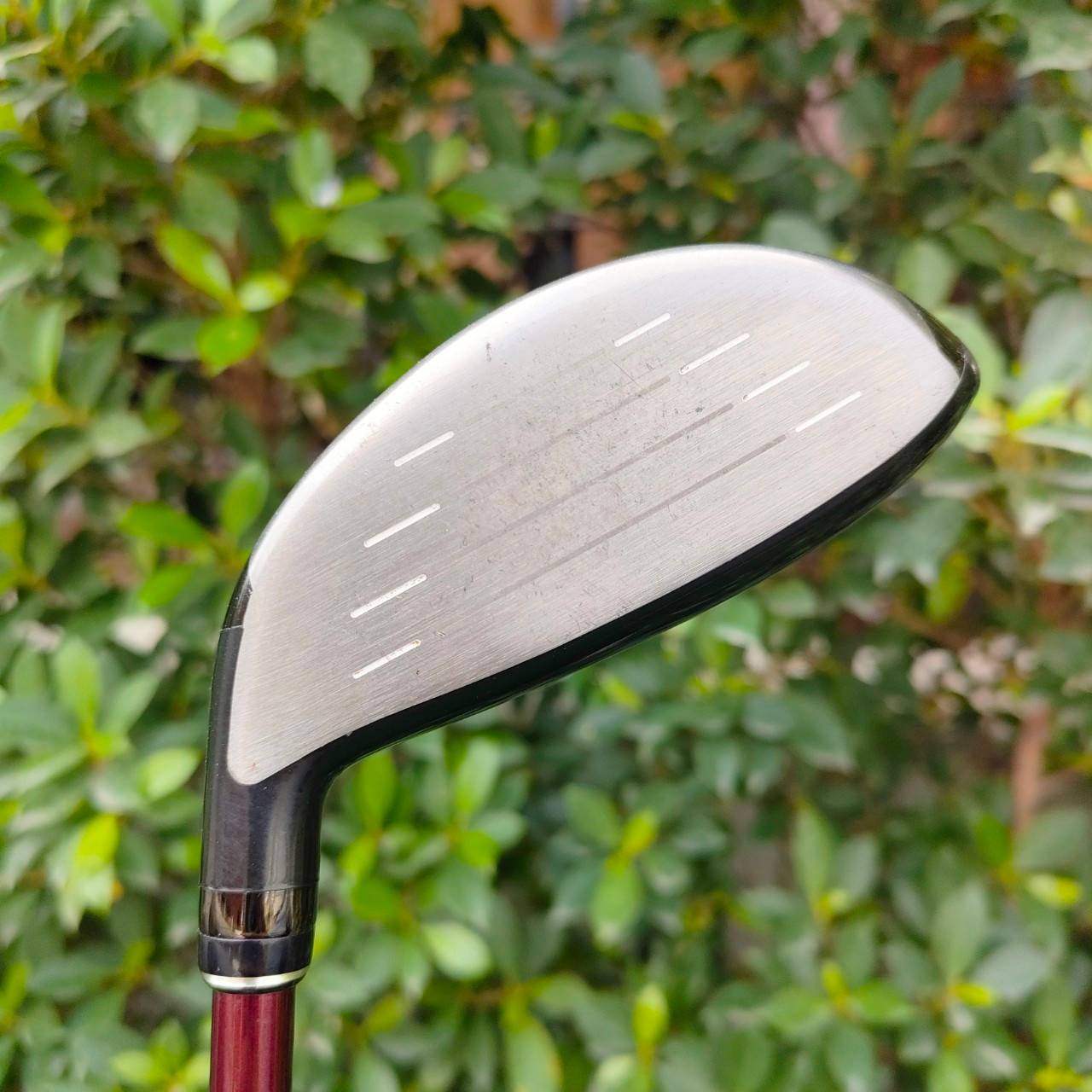 FW3 PRGR RS RED องศา 15 ก้าน FUJIKURA SPEEDER EVOLUTION FLEX R