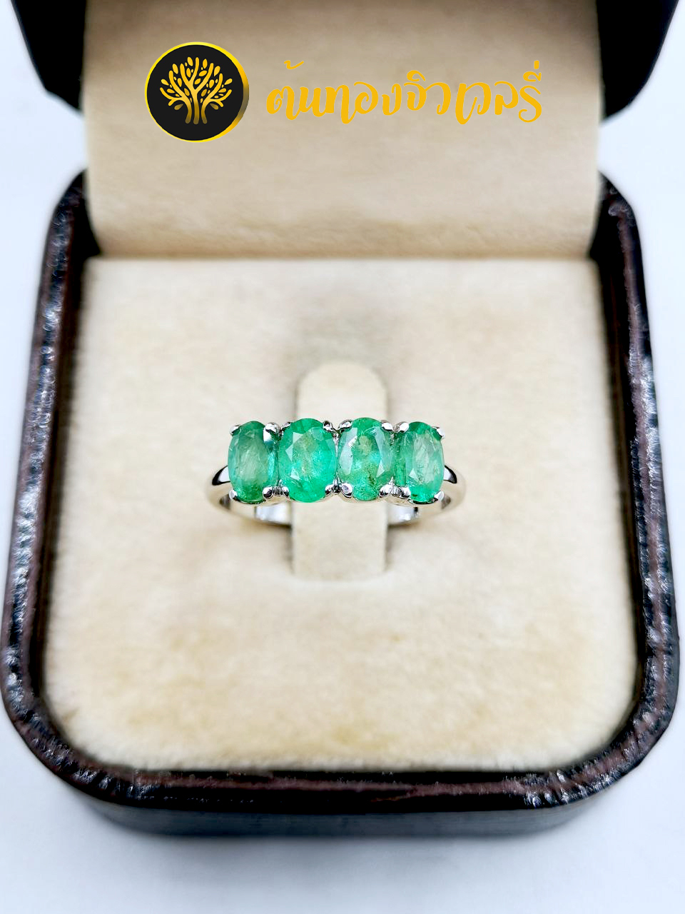 #แหวนมรกตเก๋ๆ#แหวนมรกต#แหวนพลอยมรกต #แหวนแถว#แหวนเม็ดเดี่ยว#แหวนง่ายๆ#แหวนมินิมอล#แหวนอลังๆ #แหวนล้อมเพชร#แหวนรอบนิ้ว#แหวนเงิน#แหวนเงินแท้#เงินแท้#เงิน#แหวนเงินฝังพลอย#แหวนเงิน925#เงิน925#แหวนเงินแท้ฝังพลอยแท้#แหวนเงินทำมือ#แหวนเงินขึ้นมือ#เขียว#เขียวมรกต#แหวนมรกตแท้#แหวนพลอยมรกตแท้#แหวนพลอยสีเขียว#แหวนมรกตสวยๆ#แหวนสวยๆ#แหวนเก๋ๆ#แหวนเรียบๆ#แหวนหรูหรา#แหวนน่ารักๆ#แหวนพิเศษ#แหวนทำมือ#แหวนขึ้นมือ#จิวเวลรี่ขึ้นมือ#เครื่องประดับทำมือ#จิวเวลรี่ทำมือ#เครื่องประดับขึ้นมือ#พลอยมรกต#มรกต#มรกตแท้#พลอยมรกตแท้#มรกตสวยๆ#พลอยเขียวมรกต#พลอยทรกตสวยๆ#แหวนฝังพลอยมรกต#พลอยเขียวอ่อน#พลอยสีเขียวอ่อน#พลอยแท้#พลอยสีเขียว#แหวนมรกตเม็ดเดี่ยว#แหวนมรกตมินิมอล