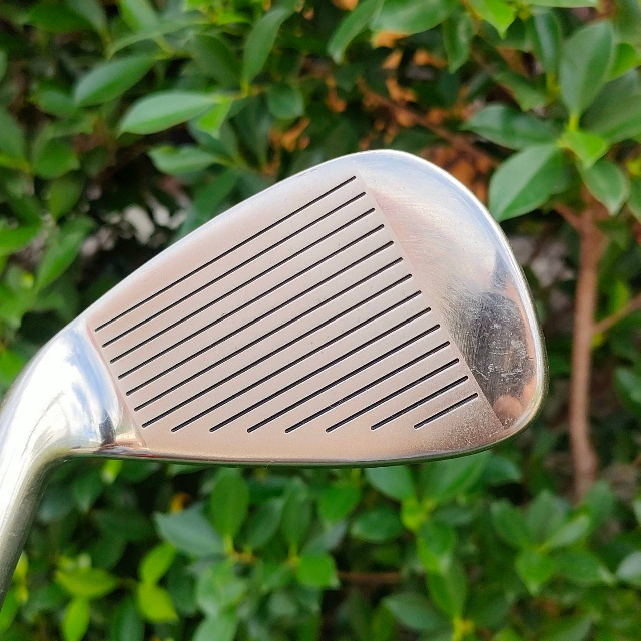 **ไม้กอล์ฟสำหรับผู้หญิง** ชุดเหล็ก T-ZOOM X5 มีเหล็ก 4-9 เเละ PW SW ก้าน MEMORY ACTION FLEX L เป็นเหล็ก FORGED CAVITY ตีง่าย วัสดุดีมากๆ นุ่มครับ ของใหม่รุ่นนี้ออกมา 39,899