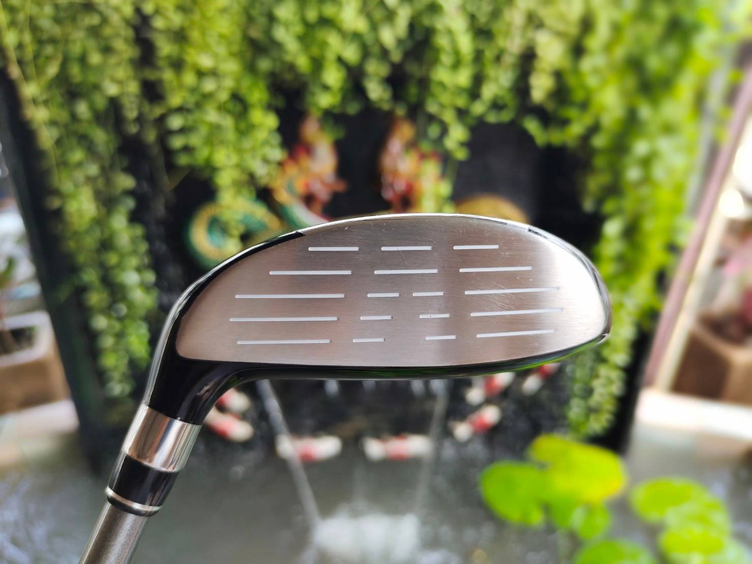 FW5 TOURSTAGE VIQ