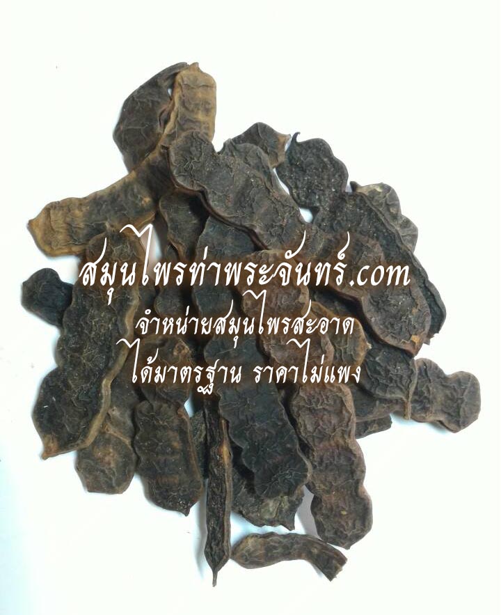 Dried Soap Pod